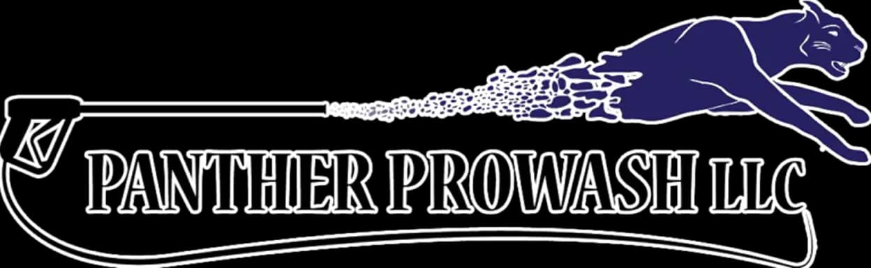 Panther logo