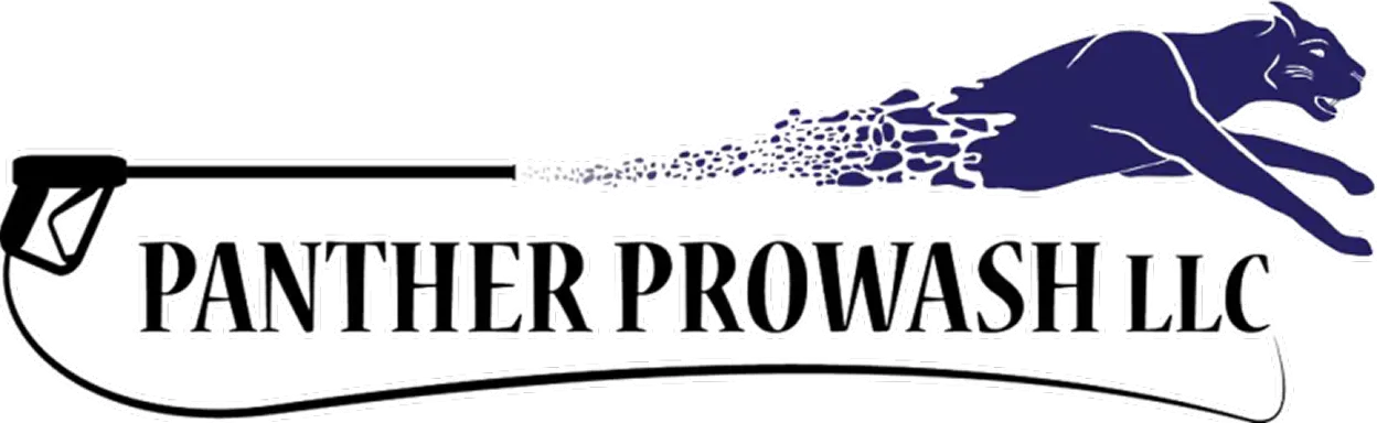 Panther logo